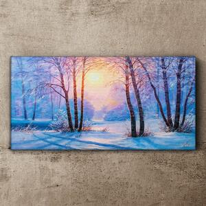 Vászonkép Téli erdő naplemente természete