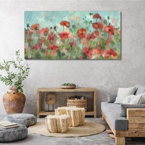 Vászonkép Virágok növények Poppy eső