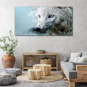 Vászonkép Vadon élő farkas