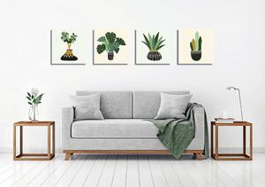 Kép szett 4 db-os 30x30 cm Plants – Wallity