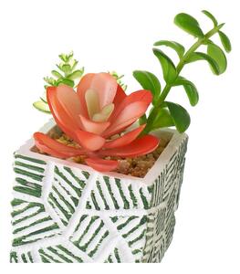 Műnövény szett 3 db-os (magasság 12 cm) Cactus – Casa Selección