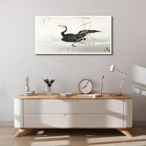 Vászonkép Ázsia tó állat madár