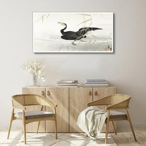 Vászonkép Ázsia tó állat madár