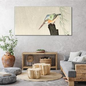 Vászonkép Állatok madarak királyhalász