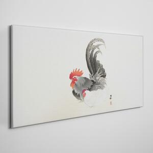 Vászonkép Állat madár csirke