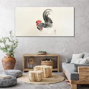 Vászonkép Állat madár csirke