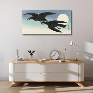 Vászonkép Állati madár lopás égbolt