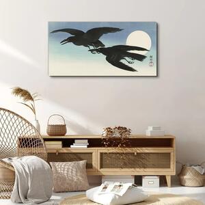 Vászonkép Állati madár lopás égbolt