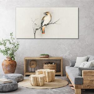 Vászonkép Állati madarak ágak