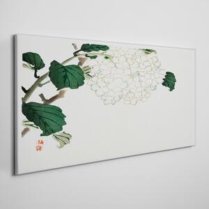 Vászonkép Ázsiai ágak levelek