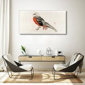 Vászonkép Modern állat madár
