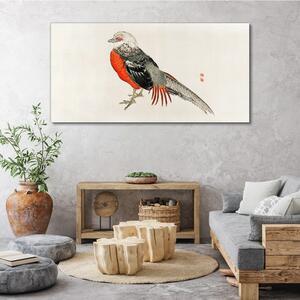 Vászonkép Modern állat madár