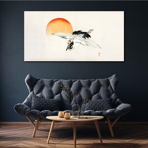 Vászonkép Állati madár a nap