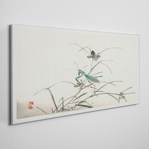 Vászonkép Ázsiai rovarok ágak