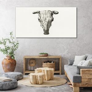 Vászonkép Állat tehén koponya rajzolása
