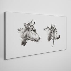 Vászonkép Az állati tehenek rajzolása