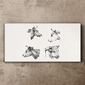 Vászonkép Az állati tehenek rajzolása