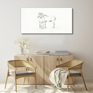 Vászonkép Egy ló állat rajzolása