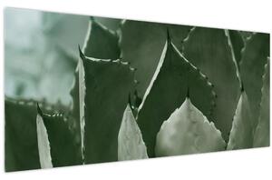 Kép - Zöld agávé (120x50 cm)