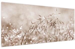 Kép - rét barna árnyalatokban (120x50 cm)
