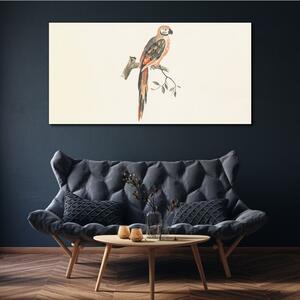 Vászonkép Állat madárág