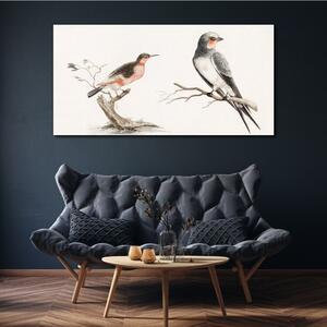 Vászonkép Rajz madarak állatok