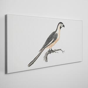 Vászonkép Az állati madár ágának rajzolása