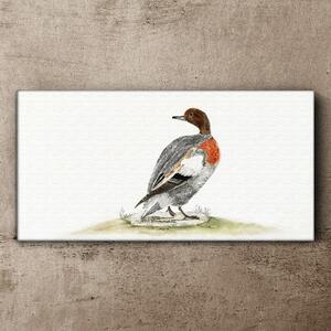 Vászonkép Rajz állat madár kacsa