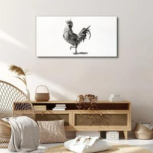 Vászonkép Rajz állat madár csirke