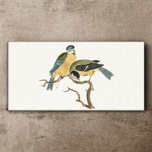 Vászonkép Rajz madarak állatok