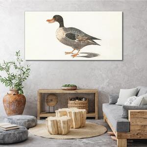 Vászonkép Rajzoló madár kacsa
