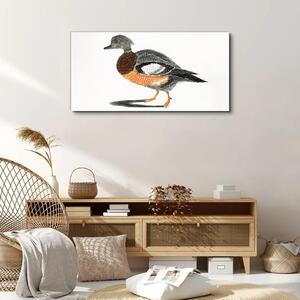 Vászonkép Állati madár rajzolása