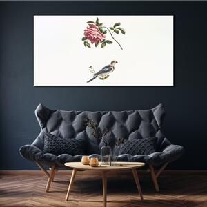 Vászonkép Állati madár ág virág