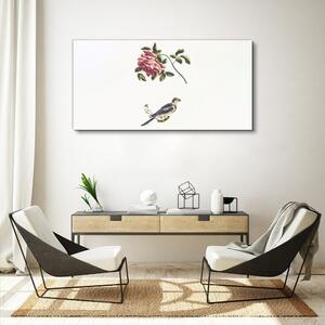 Vászonkép Állati madár ág virág