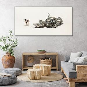 Vászonkép Rajz állat kígyó pillangó