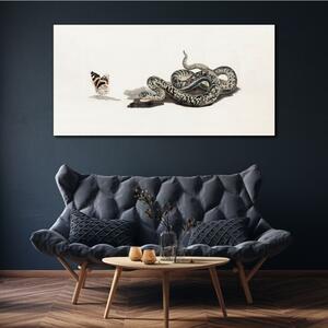 Vászonkép Rajz állat kígyó pillangó