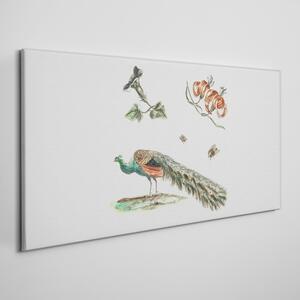 Vászonkép Rajz állat madárvirágok