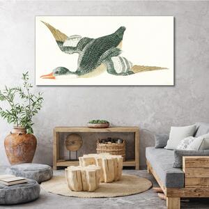 Vászonkép Rajz állat madár kacsa