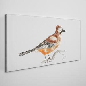 Vászonkép Az állati madár ágának rajzolása