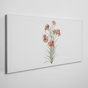 Vászonkép Rajz a virágok növénye