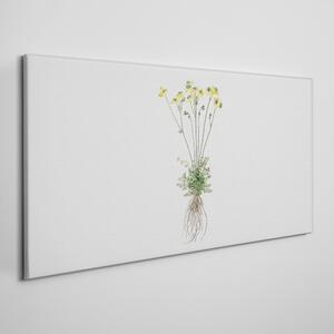 Vászonkép Növények virágai