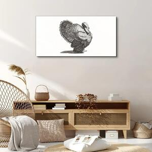 Vászonkép Az állati madár pulyka képe