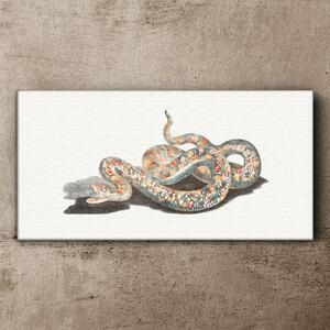 Vászonkép Kígyó