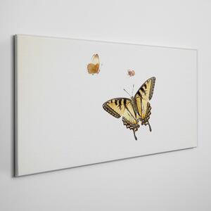 Vászonkép Modern hiba rovar pillangó