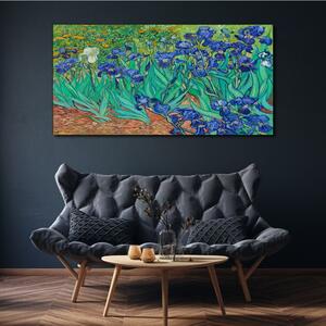 Vászonkép Van Gogh Irises