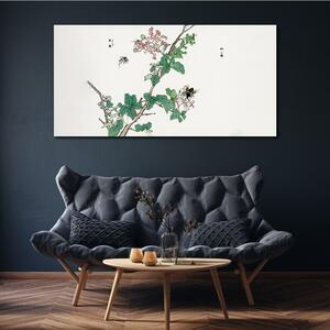 Vászonkép Ázsiai hmyze levelek
