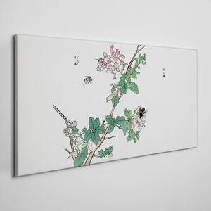 Vászonkép Ázsiai hmyze levelek