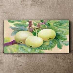 Vászonkép Gyümölcs alma ág levelek