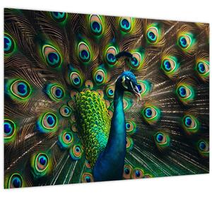 Üveg kép – Pávatoll (70x50 cm)