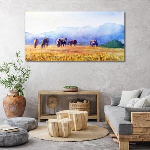 Vászonkép Állatok ló réti természet
